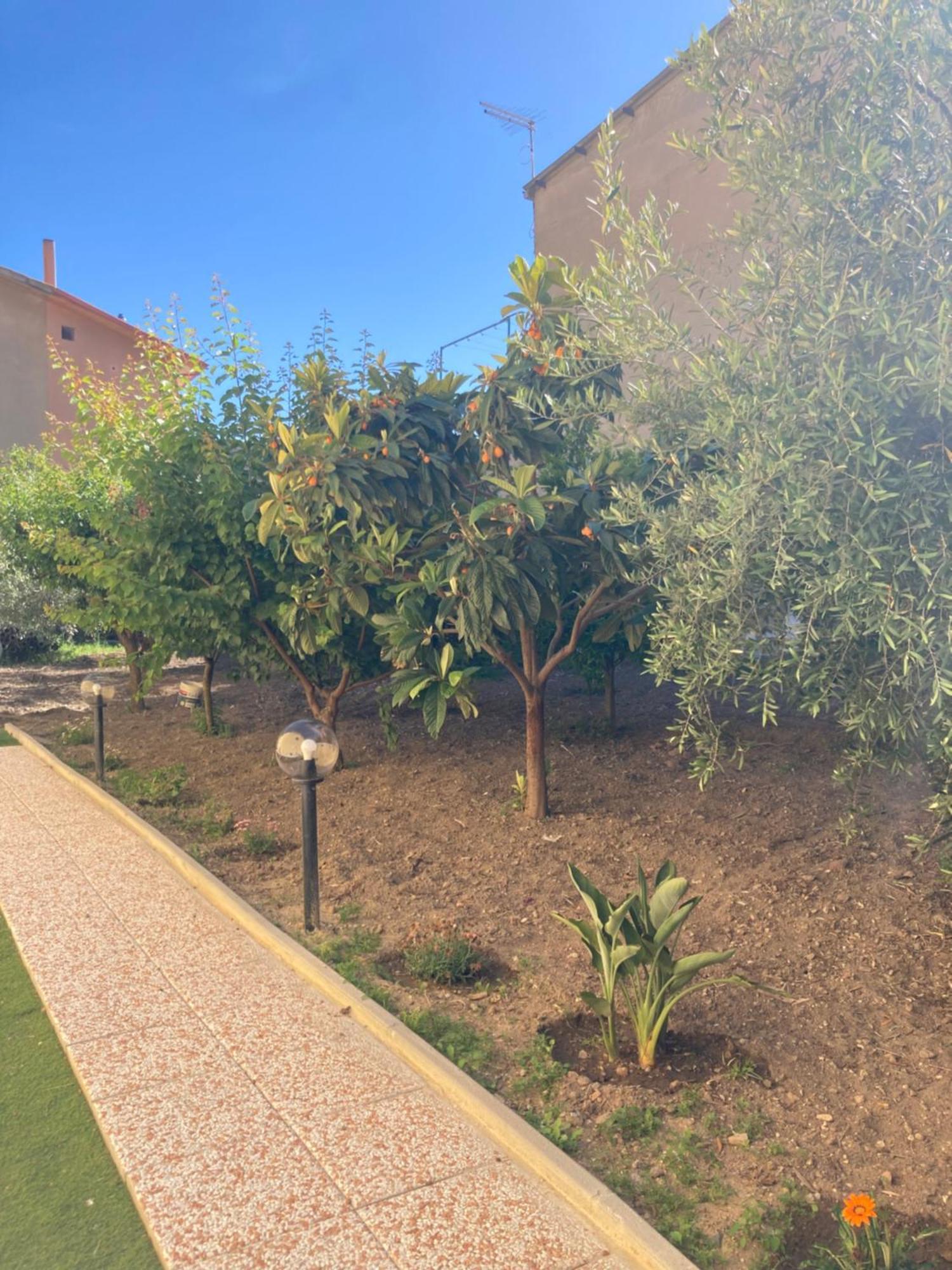 Casa Vacanze Il Giardino Villamassargia Exterior foto